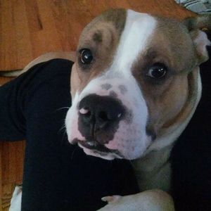 Meet your Posher, Janay